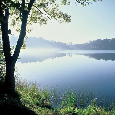 Apartment Vulkaneifel *